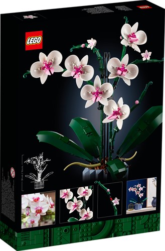 LEGO Botanical Collection 10311 Orchidee - 80
