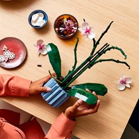 LEGO Botanical Collection 10311 Orchidee - 90