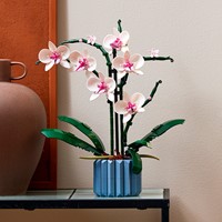 LEGO Botanical Collection 10311 Orchidee - 120