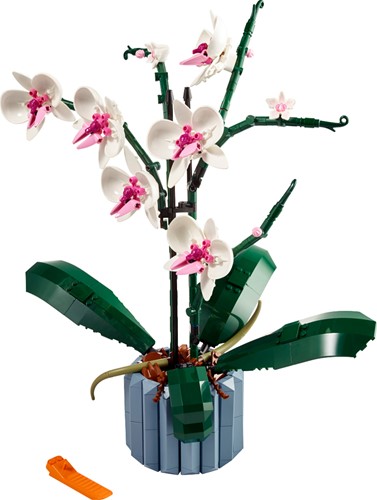 LEGO Botanicals Orchidee - 10311-3