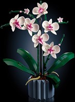 LEGO Botanicals Orchidee - 10311-2