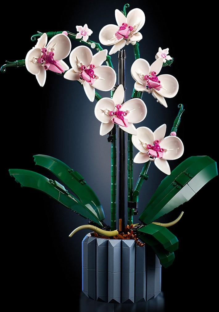 LEGO Icons Orchidee - 10311  Uw speelgoed en LEGO specialist