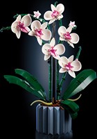 LEGO Botanical Collection 10311 Orchidee - 20