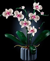 LEGO Botanical Collection 10311 Orchidee - 30