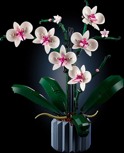 LEGO Botanical Collection 10311 Orchidee - 30