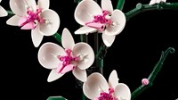 LEGO Botanical Collection 10311 Orchidee - 40