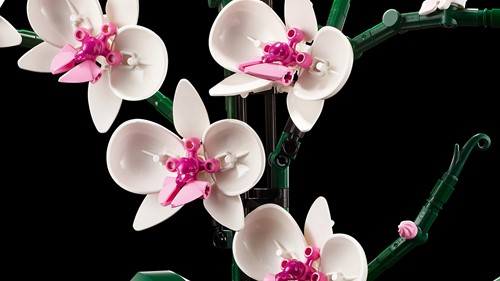 LEGO Botanical Collection 10311 Orchidee - 40