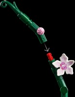 LEGO Botanical Collection 10311 Orchidee - 50