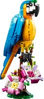 LEGO Creator Exotische papegaai - 31136-3