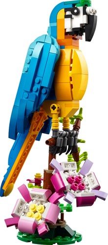 LEGO Creator Exotische papegaai - 31136-3