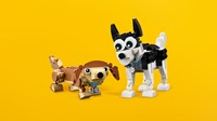 LEGO Creator 31137 Schattige honden - 80