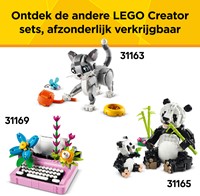 LEGO Creator 31163 Speelse kat - 210